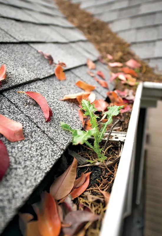 Gutter Cleaning in Norwalk CT