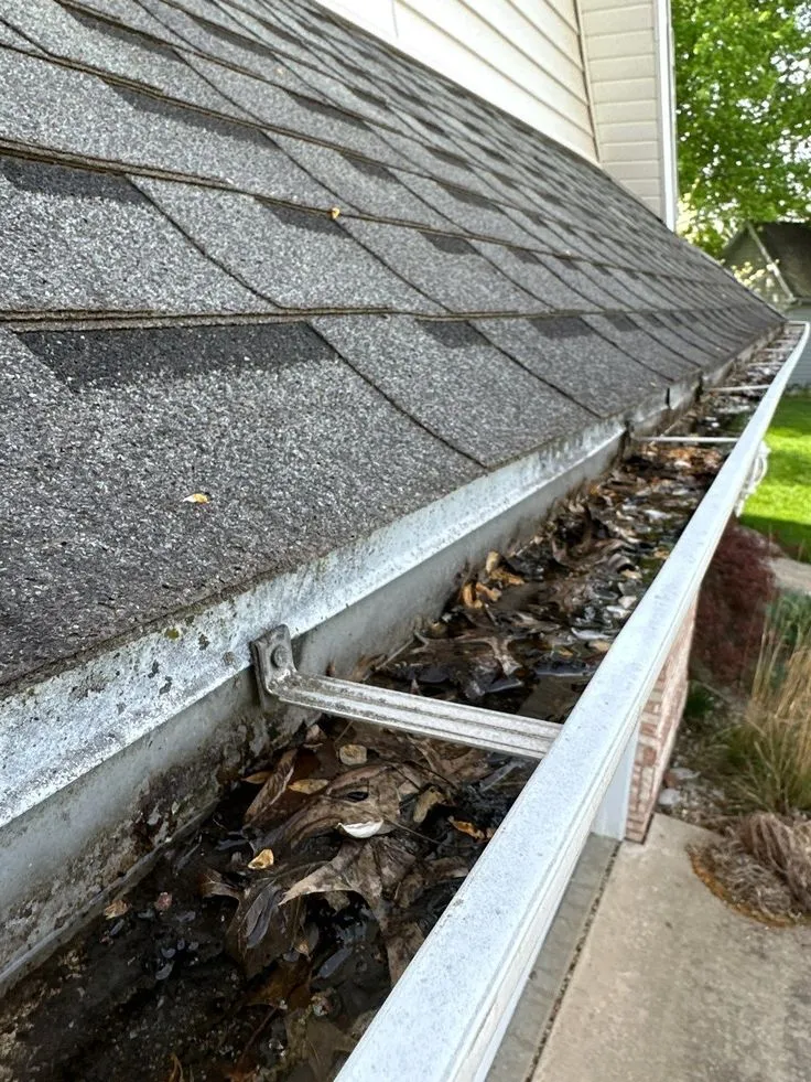 Residential Gutter Cleaning