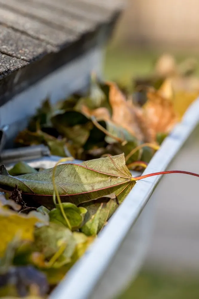 Gutter Cleaning in Greenwich CT Gutter Cleaning in Greenwich CT