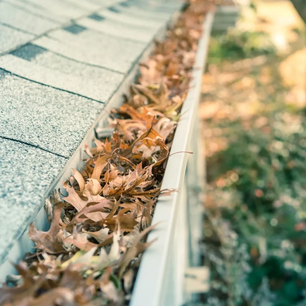 Gutter Cleaning in Greenwich CT Gutter Cleaning in Greenwich CT