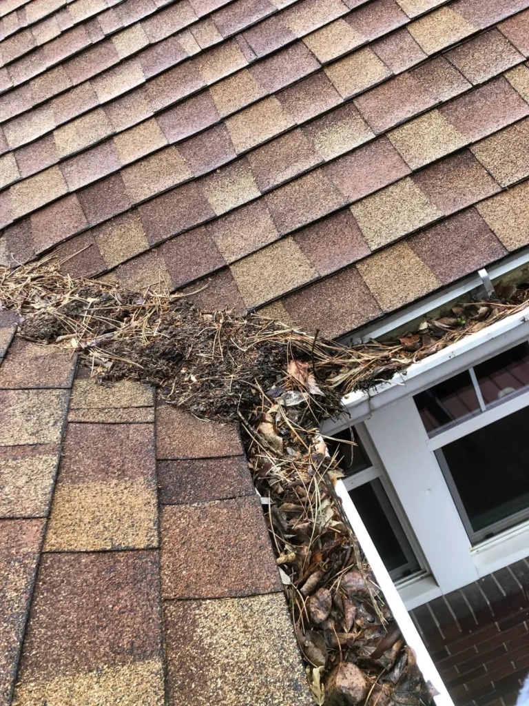 Gutter Cleaning in Greenwich CT Gutter Cleaning in Greenwich CT