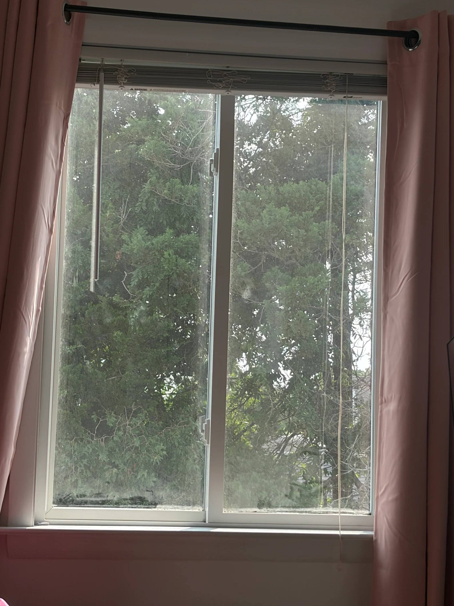 Dirty residential window before professional window cleaning